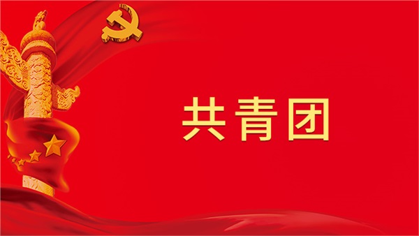 关于调整共青团长沙生殖医学医院总支委员会的通知